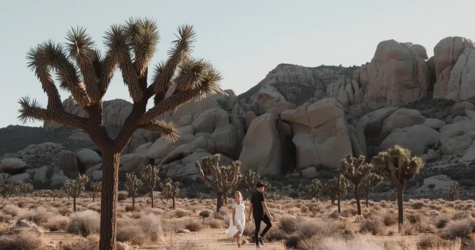 Top Things to Do in Twentynine Palms with Loved Ones