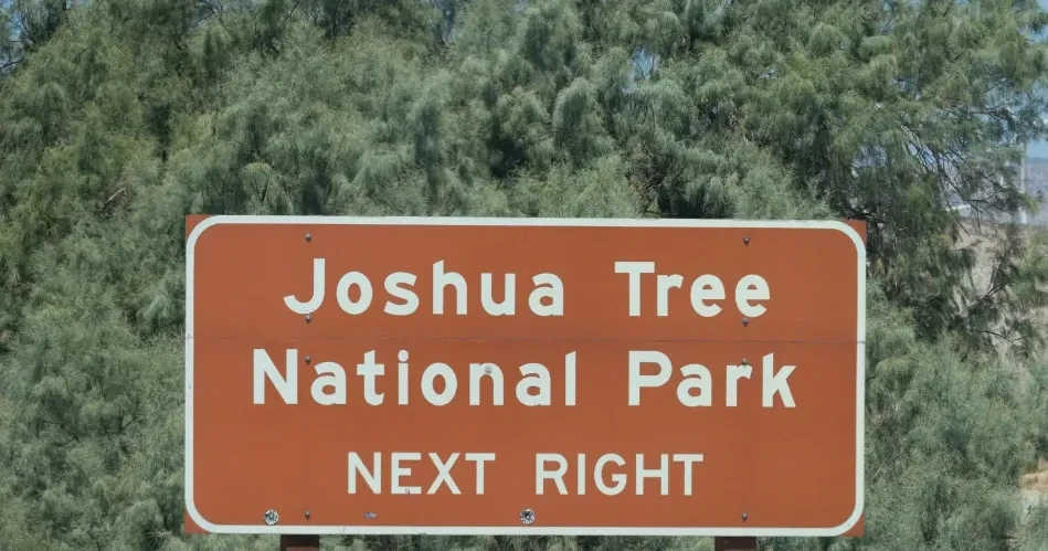 Best Places to Visit in Twentynine Palms for First-Time Travelers
