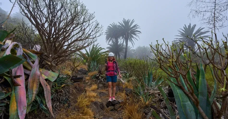 Explore Twentynine Palms: Top Hiking Trails, Camping & Adventures